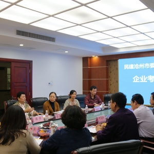 滄州民建考察團(tuán)、南寧市民建調(diào)研組——行來(lái)我集團(tuán)參觀考察 ... ...