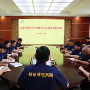 縱覽線纜集團(tuán)黨支部召開黨員大會(huì) ——慶祝中國(guó)共產(chǎn)黨成立102周年