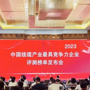 中國(guó)線纜產(chǎn)業(yè)最具競(jìng)爭(zhēng)力企業(yè)100強(qiáng)發(fā)布：縱覽線纜連續(xù)五年上榜！